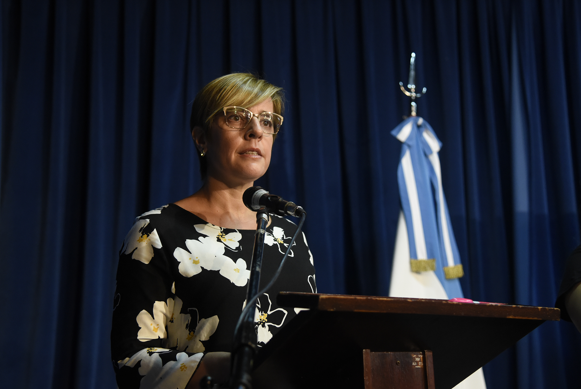 Galeria de imagenes de la noticia UN APORTE DE LA CÁMARA DE DIPUTADOS A LA LUCHA CONTRA EL GROOMING